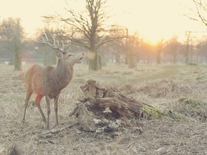 唐诗三百首<br>qyo4ufag.cn 长安三万里路